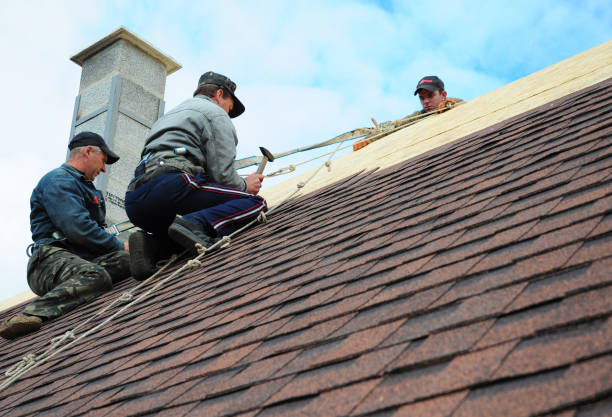 Best Shingle Roofing Installation  in Wekiwa Springs, FL